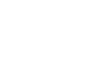 nicheo_logo